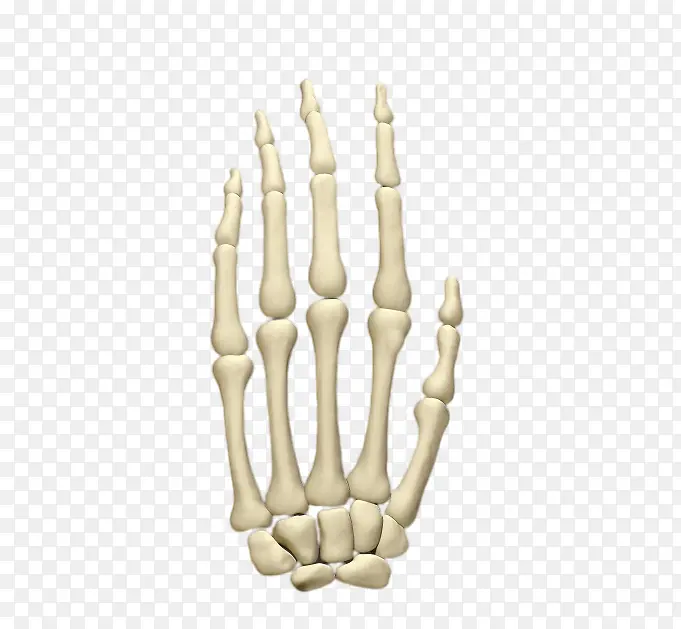 ��ָ�� �ֹ� �� �˹�-������