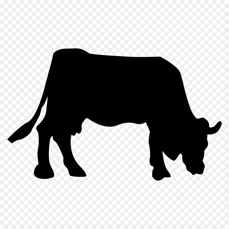 �Բ�ţ��Ӱ ��Фţ-������