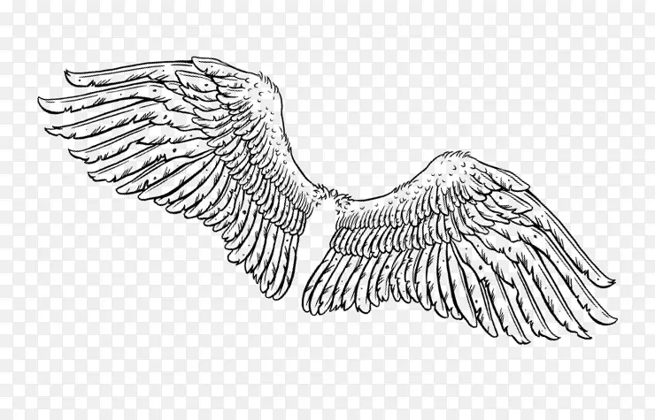 �������������ʹ���-������