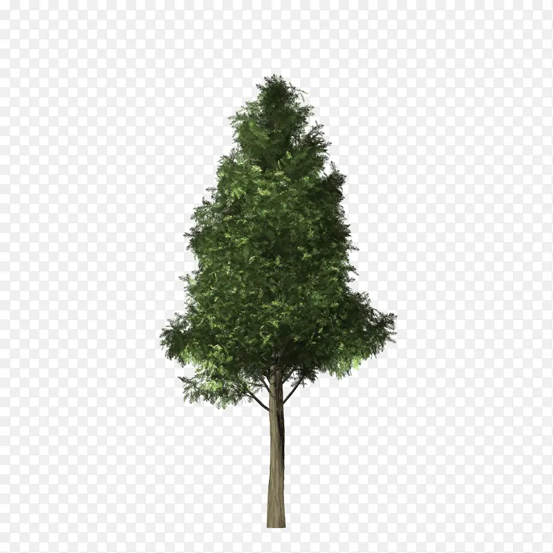 ���ϰ� С�� ����-������