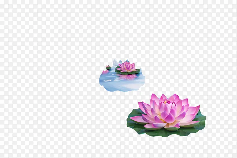 �ֻ� �ɻ� ��ͨ-������