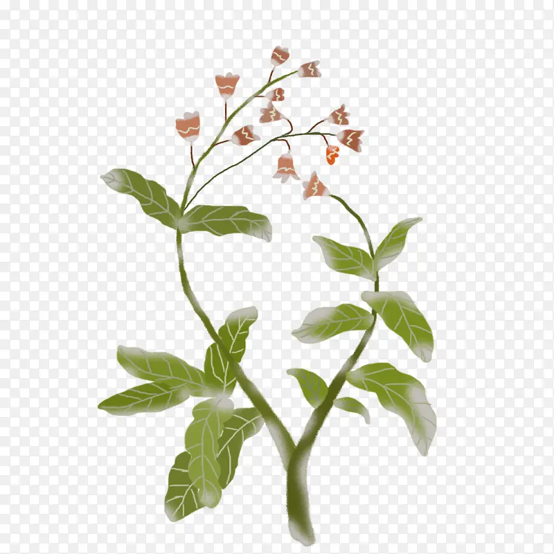 �ֻ�ֲ�￪����ͨ�廭-������