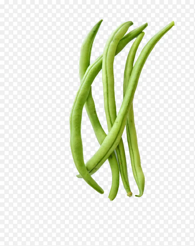 ���ʵĶ����߲�-������