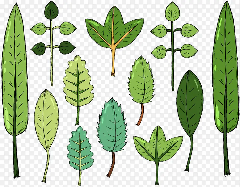 �ֻ�����ֲ��Ҷ��-������