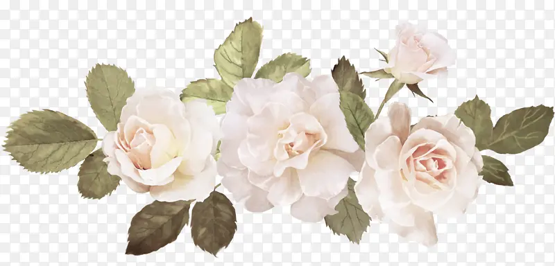 ��õ�������Ƭ����ز�-������