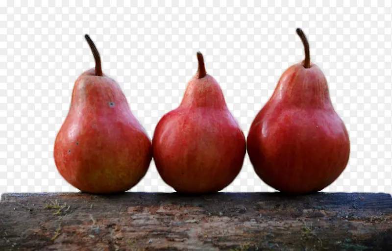 ��ɫ����������-������