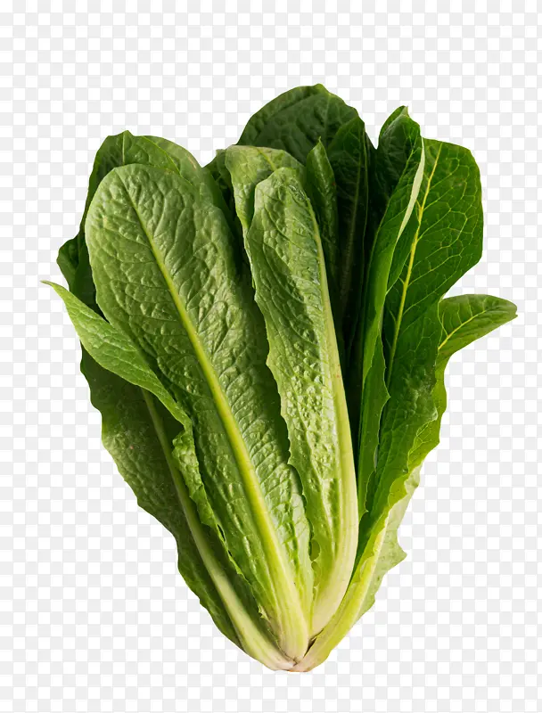 ���ʵ��߲����-������