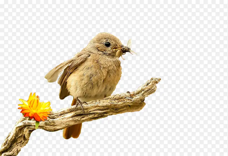 ����������-������