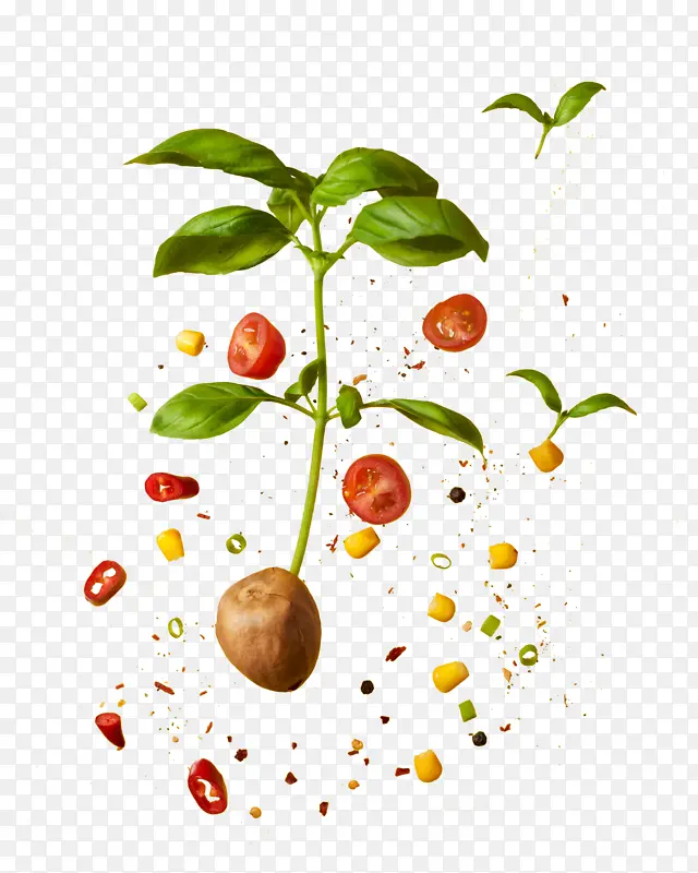 ���кÿ��������߲ˣ�����-������