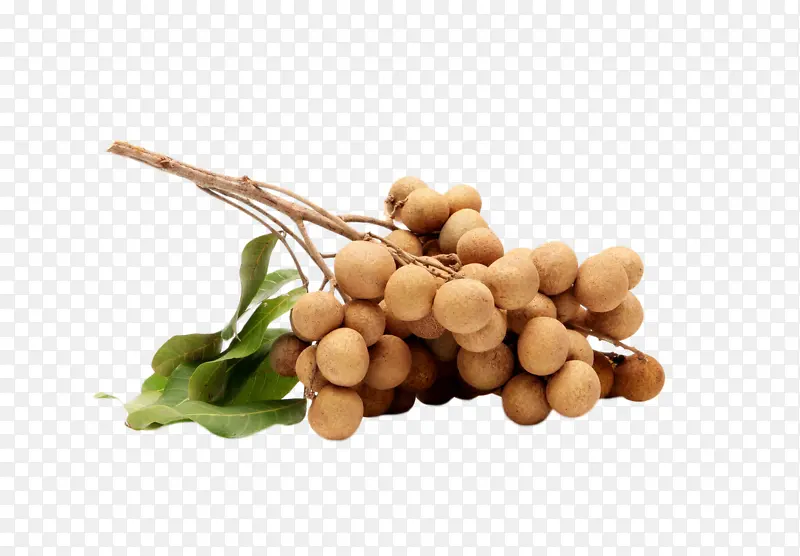 ���۹�Բ���ˮ��-������