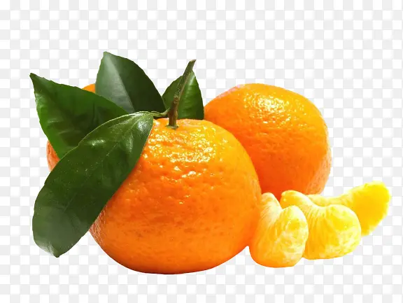 �óԵĴ�����-������