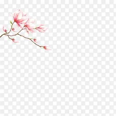 Ư�����޵Ļ���-������