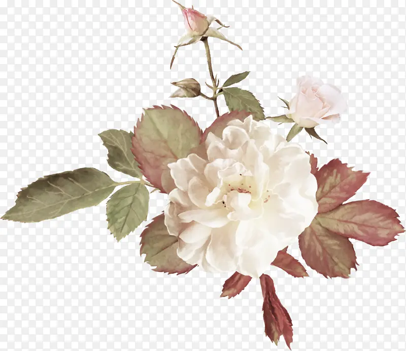 ��õ�������Ƭ����ز�-������