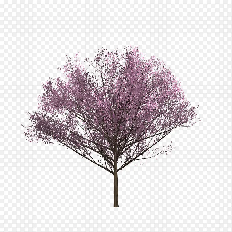 ӣ��ӣ�����-������