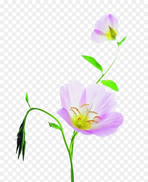 ��ɫ�¼���ͼƬ�ز�-������