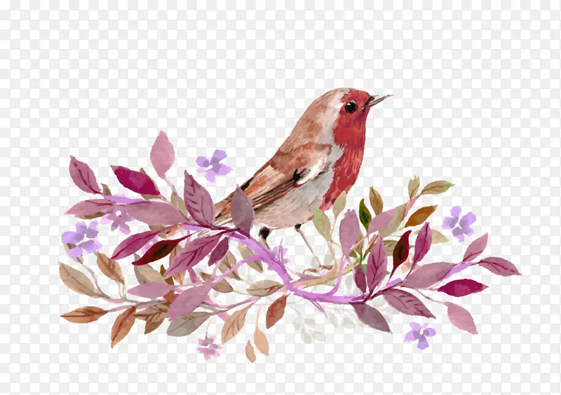 �ۺ� С�� ��֦ װ��-������