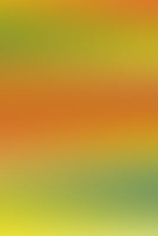 ��ɫ����ǳ��ɫ����-������