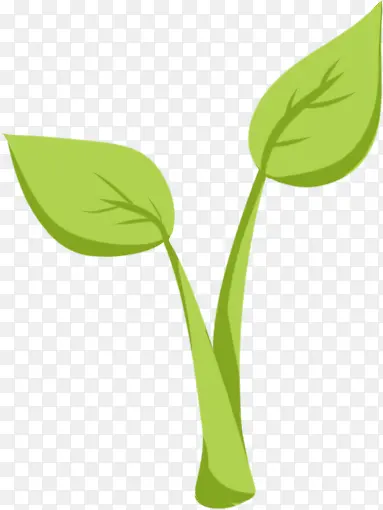 ��ѿ��֦��ѿ-������