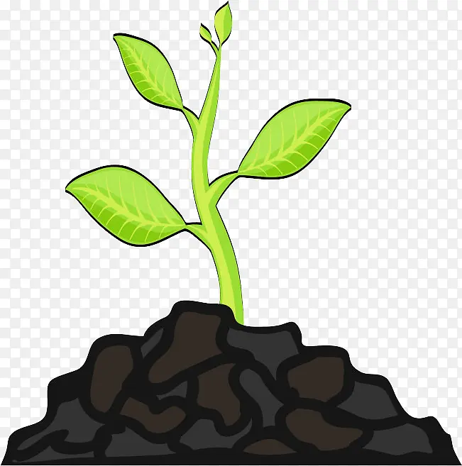 ��ѿ��֦��ѿ-������