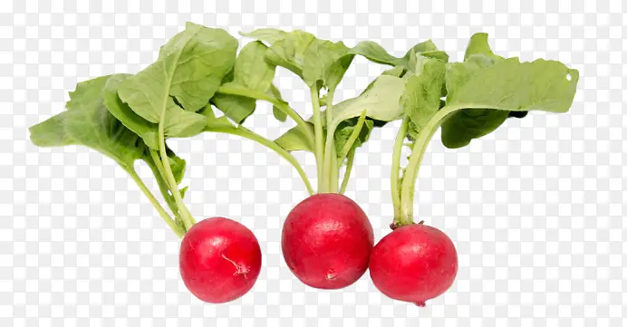 ���ܲ� ͼƬ �߲�ͼƬ �߲�-������