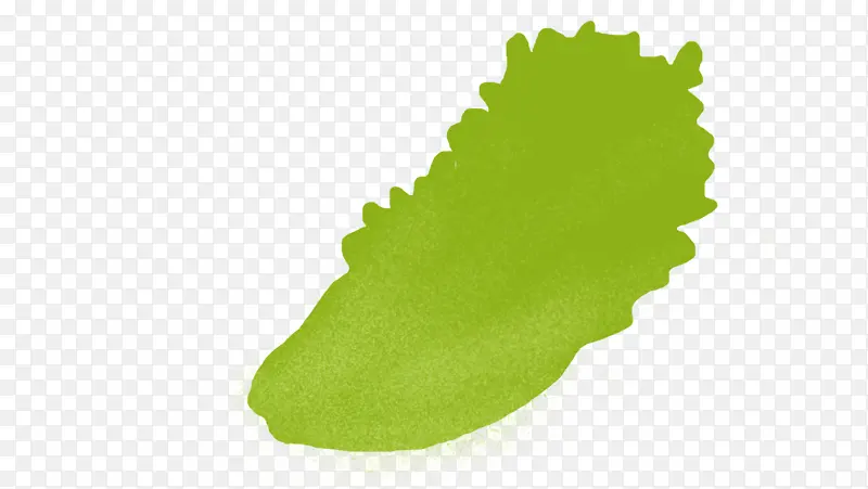 ������ѧ��ʳ-������