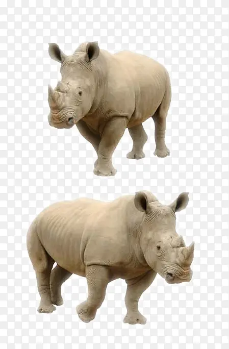 ½�ض���Ϭţ-������