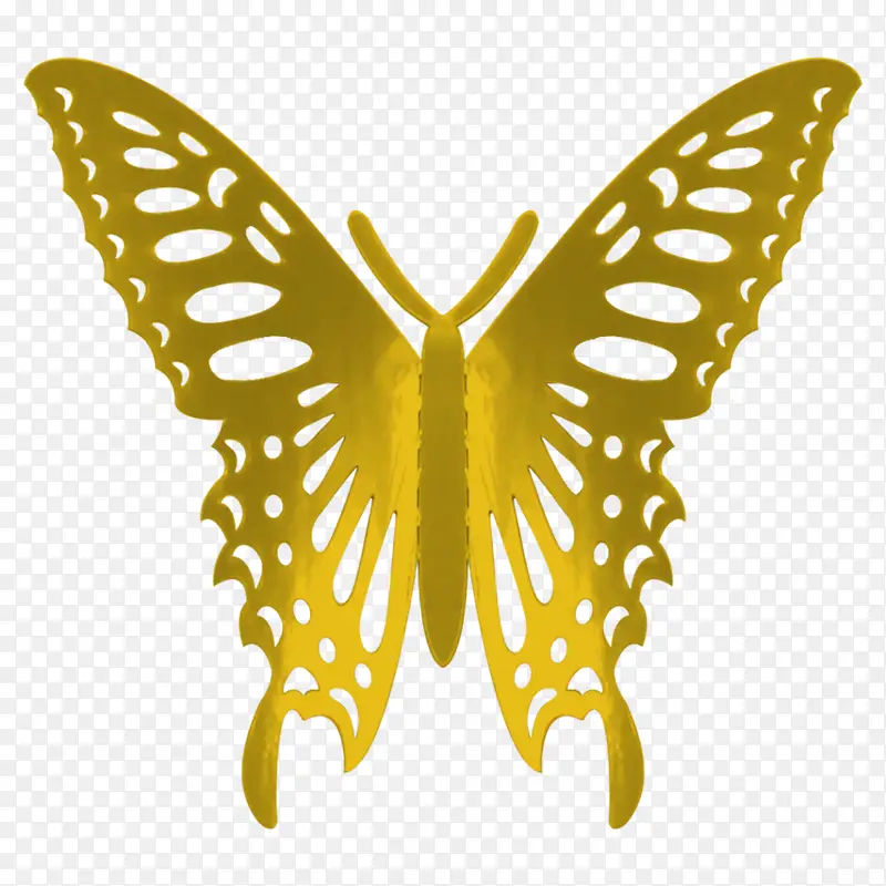 ��ɫ������ֽ��Ʒ-������