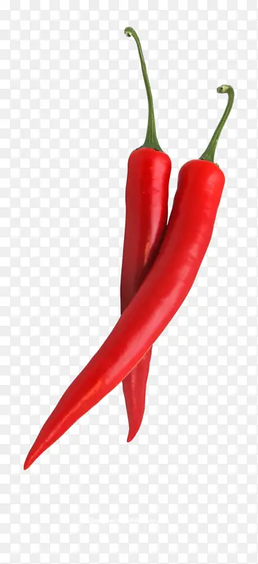 ����,PNG,�ز�,�����ز�-������