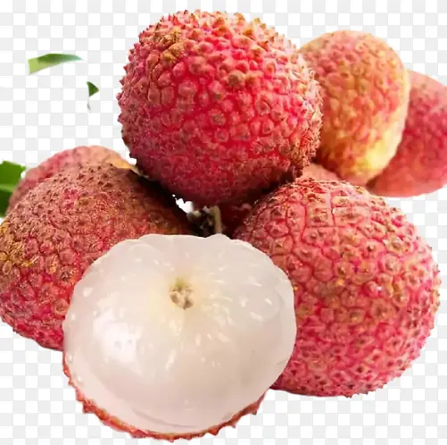 ˮ����֦����-������