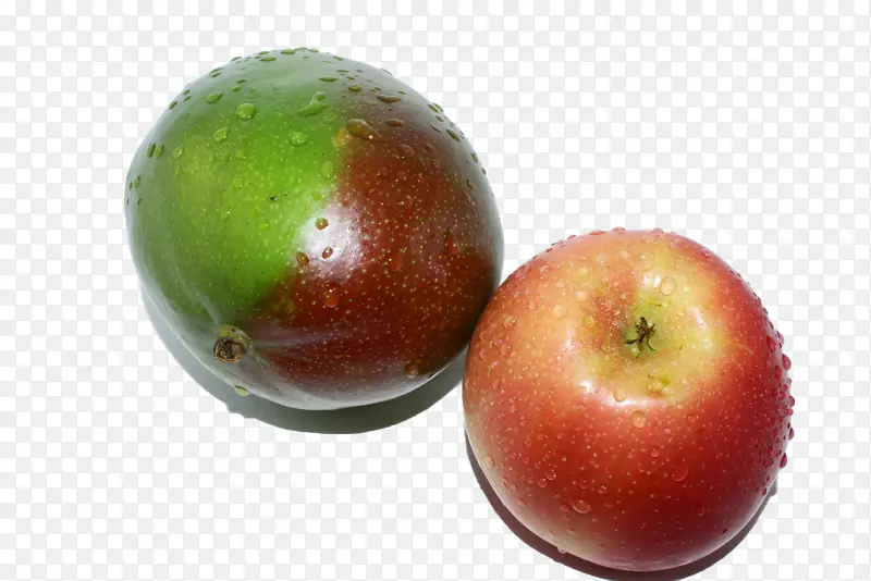 ˮ��ƻ���޻���-������