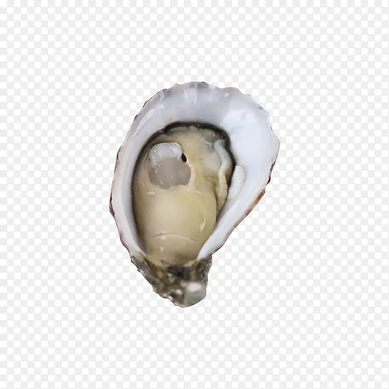 ���ڼ��������-������