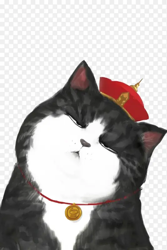 è�俨ͨ�ֻ�-������