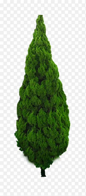 �������زĿ�ͼ-������