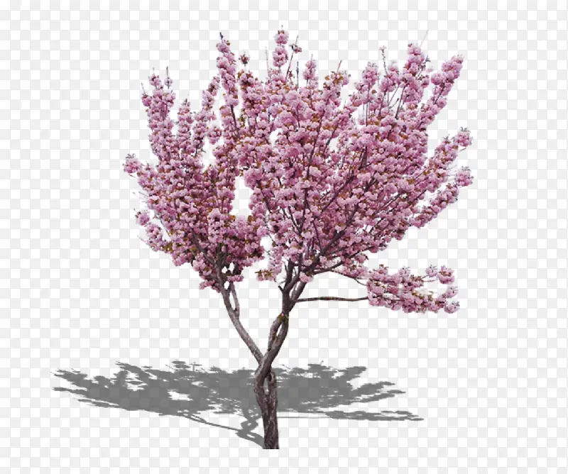 ��ɫ�������زĿ�ͼ-������