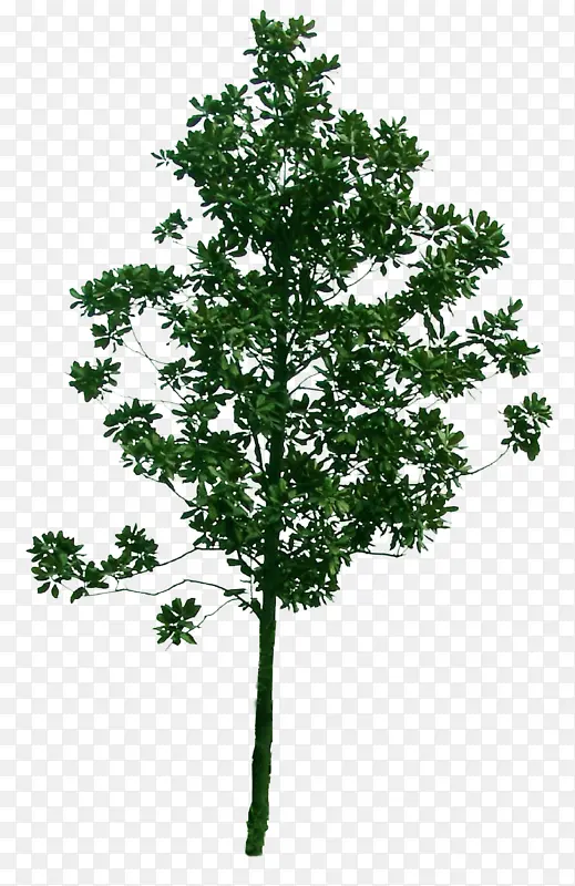 �߾������زĿ�ͼ-������