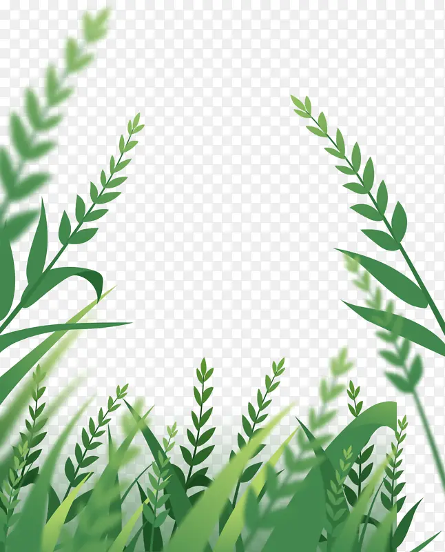 �ֻ桢�廭��-������