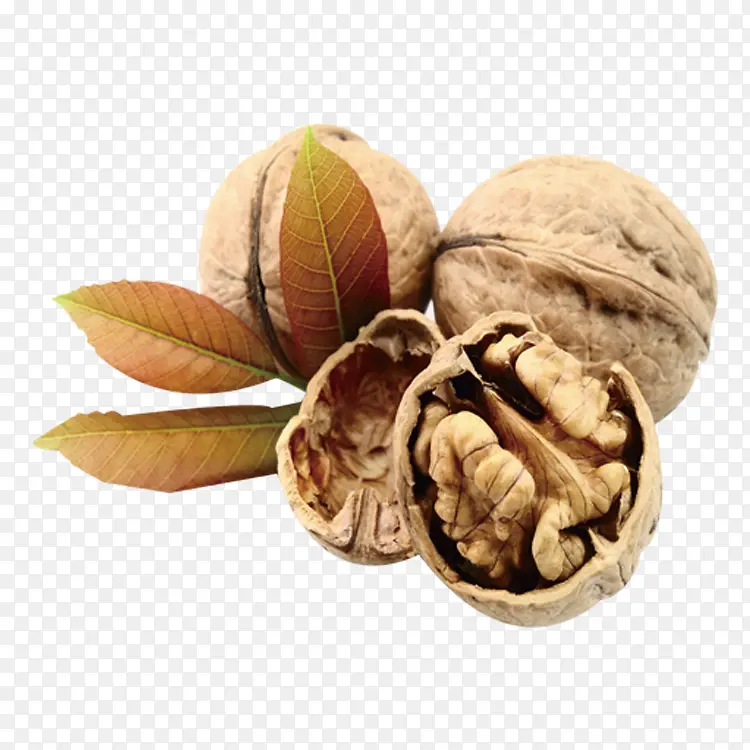 ʳƷ��ʳ�������-������