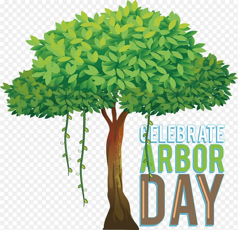 ��-����-������