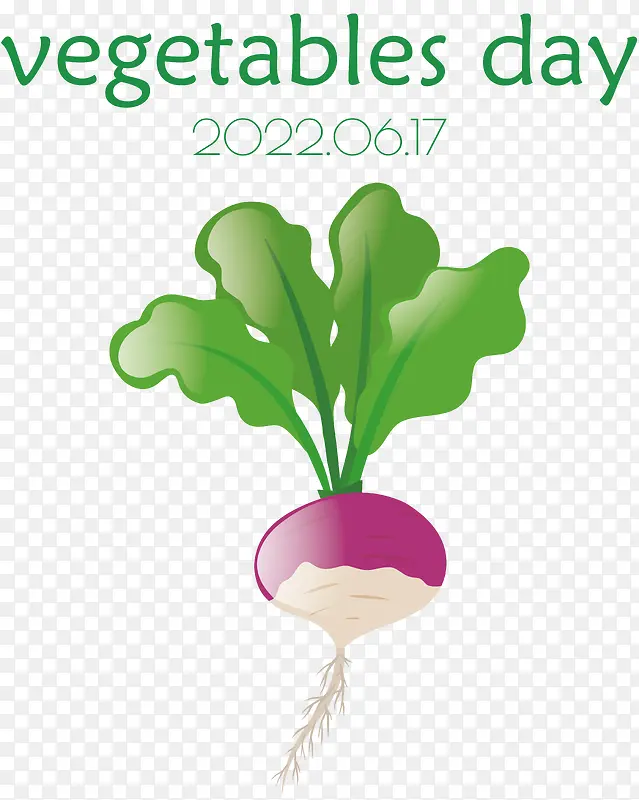 Ҷ-Ҷ���߲�ֲ�ﾥ�߲����ҩ��-������