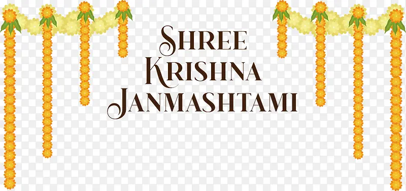 ��-�������ɫ������ѧ-������