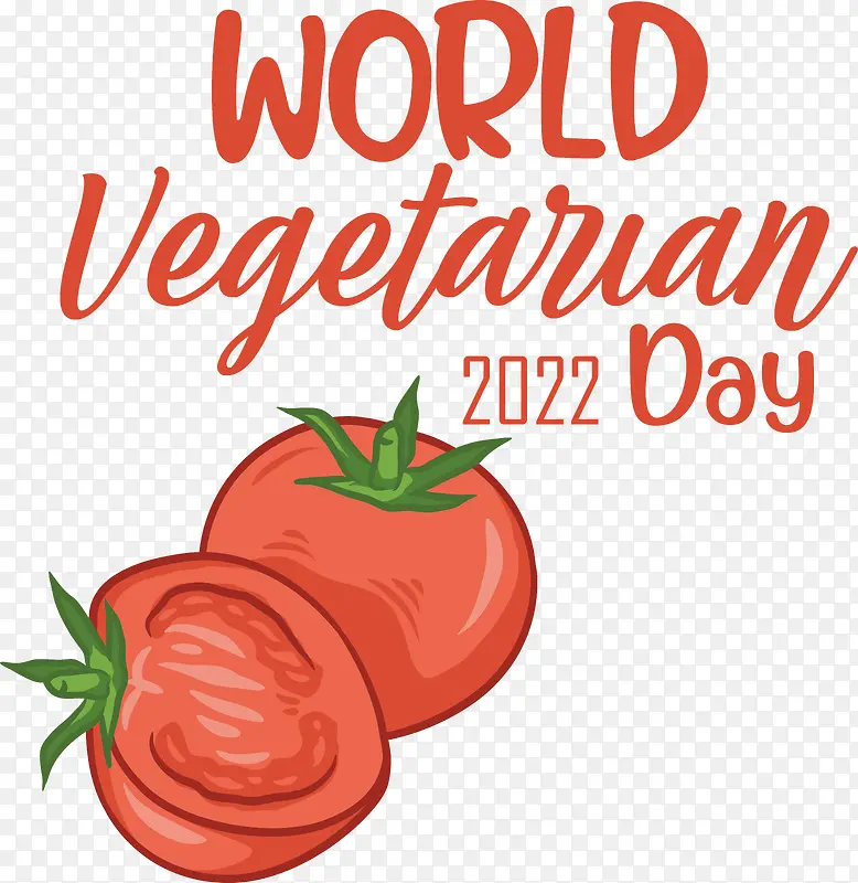 ���ѡ�������-������