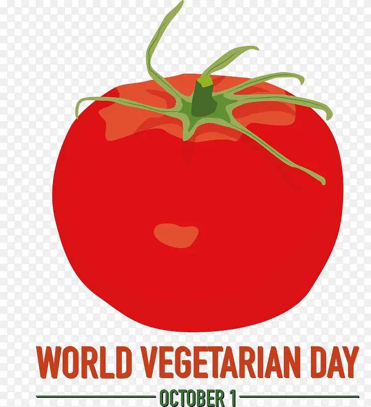 ���ѡ�������-������