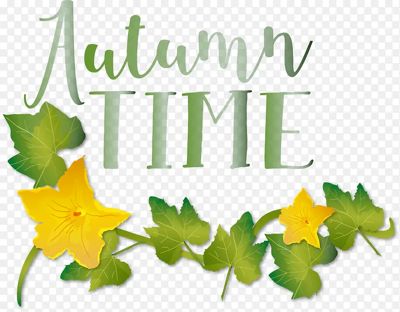 ˮ�ʻ�-ˮ�ʻ�Ҷ����־��ͼ-������