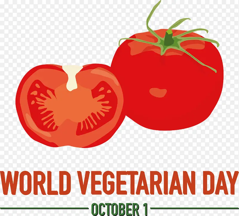 ���ѡ�������-������