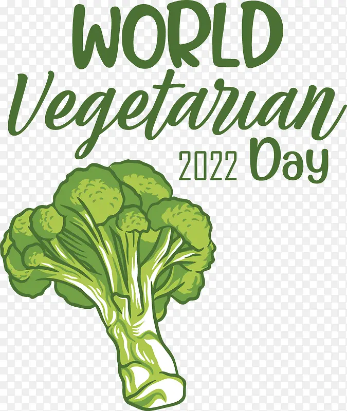 Ҷ���߲�-Ҷ���߲�Ҷ���¸����ݱ��߲�-������