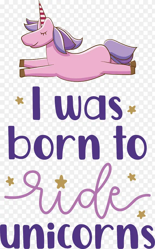 ������-޹�²�-������