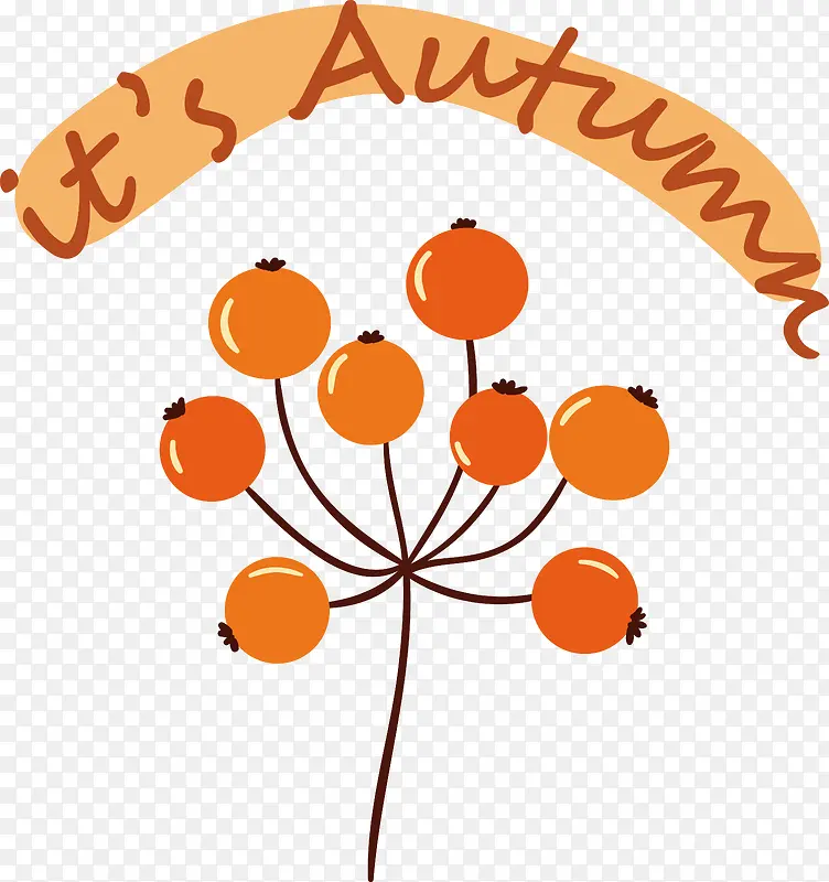 Ҷ-Ҷϵˮ����ѧ����ѧ-������