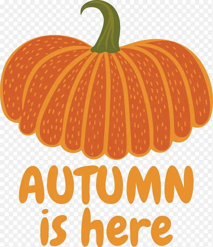 �Ϲ�-��ɫ-������