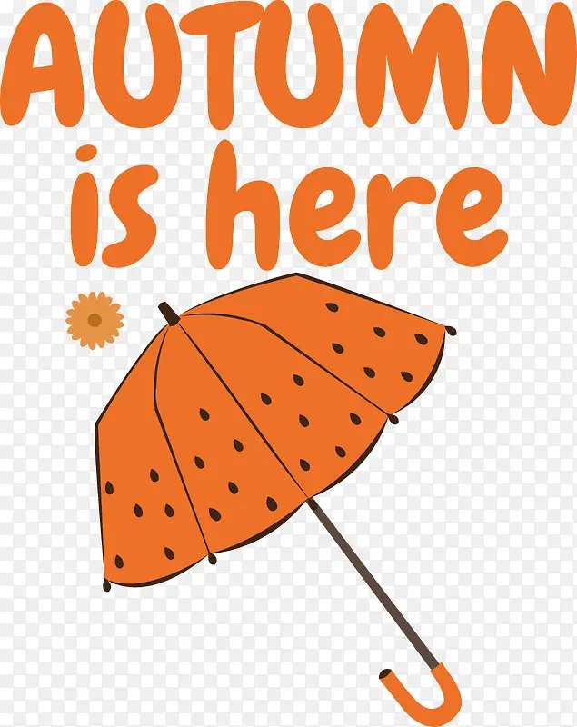 Ҷ-Ҷ��ʱ��ֲ����ѧ-������