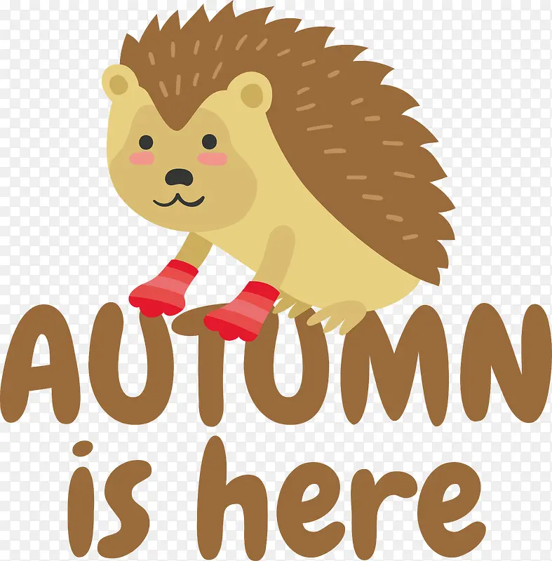 ��ͨ-��ͨ��־����-������